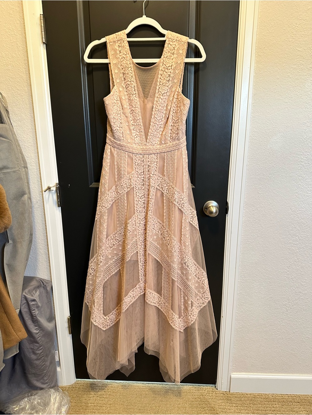 BCBGMaxAzria Blush Lace High-Low Dress